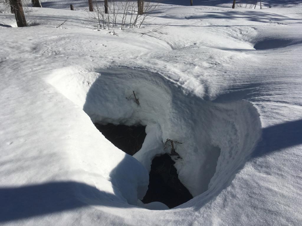  Impressively deep holes over creeks in this area. 