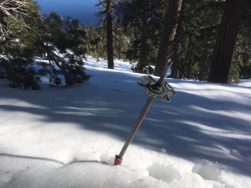  At 9:15 am on a 7800 foot East <a href="/avalanche-terms/aspect" title="The compass direction a slope faces (i.e. North, South, East, or West.)" class="lexicon-term">aspect</a> under dense tree cover, the snow was soft an unfrozen. 