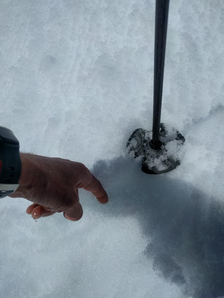  1-2 inches of wet snow on top of a thin but supportable refreeze crust at 9200 ft. on a SE <a href="/avalanche-terms/aspect" title="The compass direction a slope faces (i.e. North, South, East, or West.)" class="lexicon-term">aspect</a> 