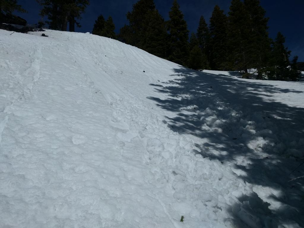  More <a href="/avalanche-terms/ski-cut" title="A stability test where a skier, rider or snowmobiler rapidly crosses an avalanche starting zone to see if an avalanche initiates. Slope cuts can be dangerous and should only be performed by experienced people on small avalanche paths or test slopes." class="lexicon-term">ski cut</a> <a href="/avalanche-terms/trigger" title="A disturbance that initiates fracture within the weak layer causing an avalanche. In 90 percent of avalanche accidents, the victim or someone in the victims party triggers the avalanche." class="lexicon-term">triggered</a> loose wet sluffs on a S <a href="/avalanche-terms/aspect" title="The compass direction a slope faces (i.e. North, South, East, or West.)" class="lexicon-term">aspect</a> test slope. 