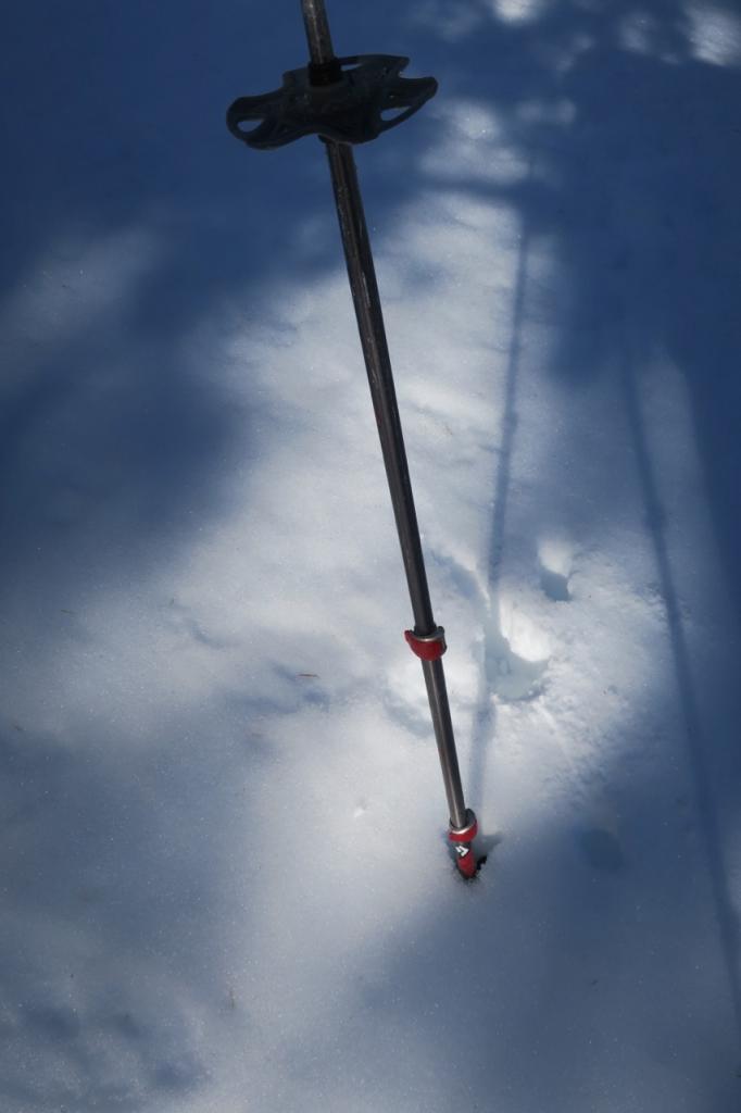  Around 9:00am, north facing partially open slopes had slick but shallow surface freeze with soft snow below. 