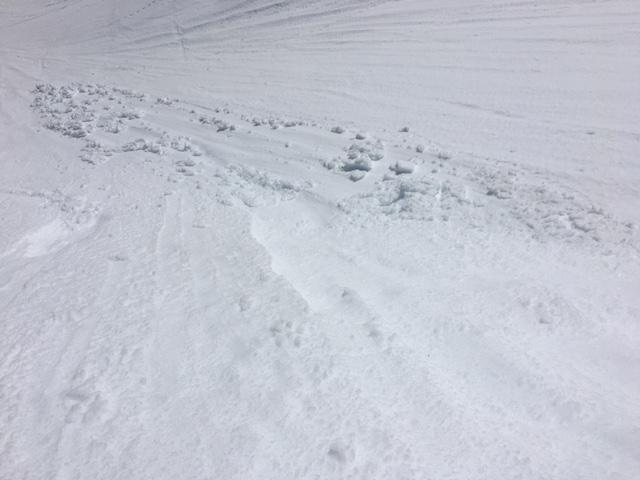 Same small loose wet <a href="/avalanche-terms/avalanche" title="A mass of snow sliding, tumbling, or flowing down an inclined surface." class="lexicon-term">avalanche</a> in previous photo. 