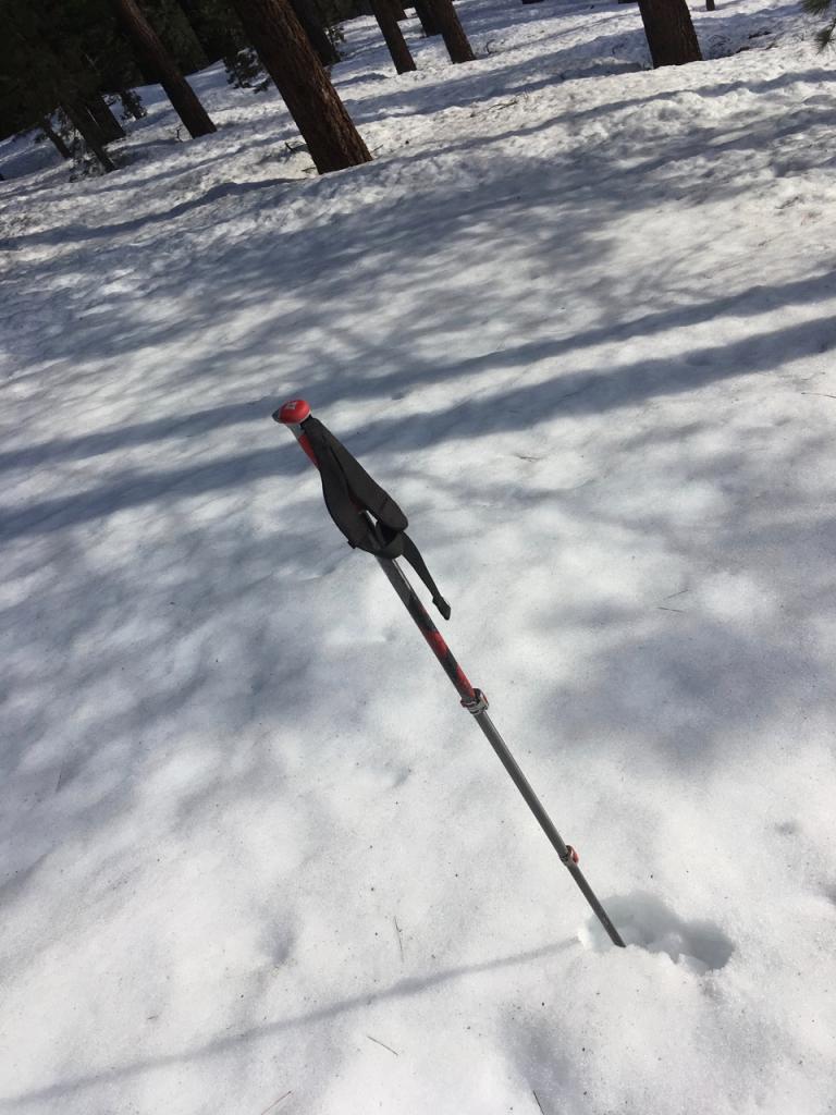  At 8:30am, around 7200 feet on partially treed SE slope, the snow surface was soft and unfrozen. 