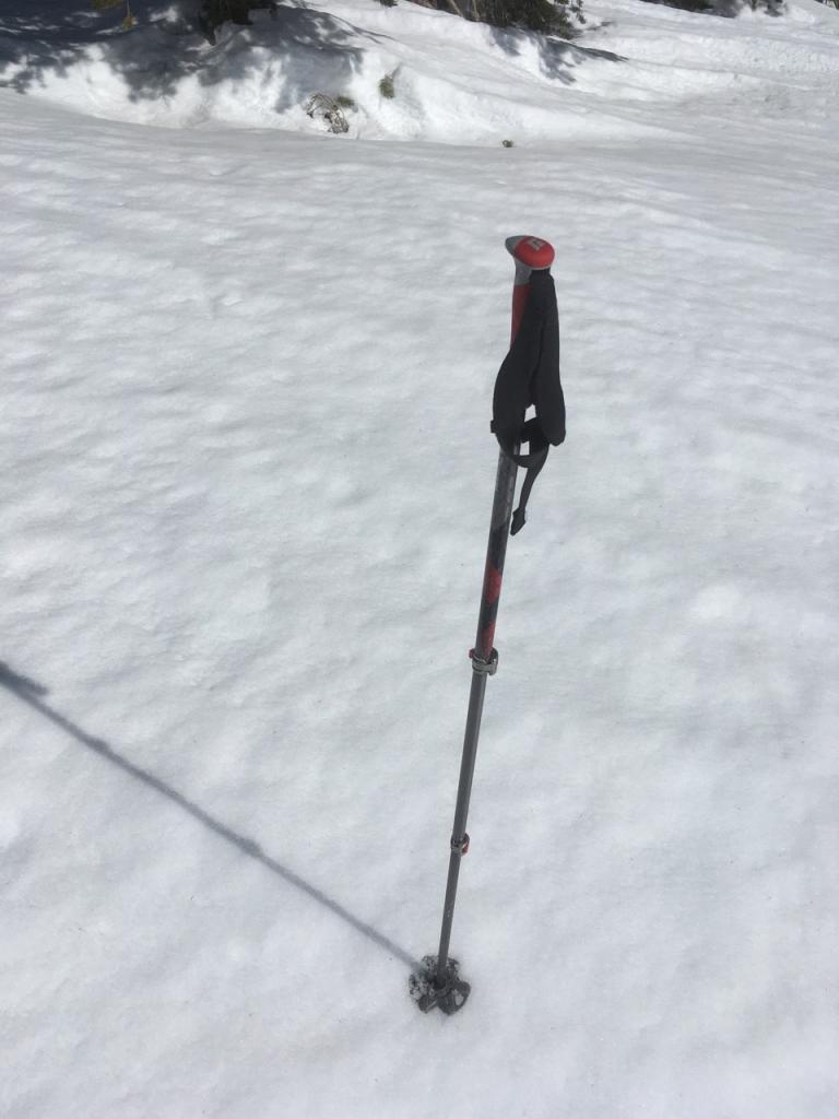  At 10:00am, around 9000 feet on open SE slope, the snow was cold and supportive due to consistent wind. 