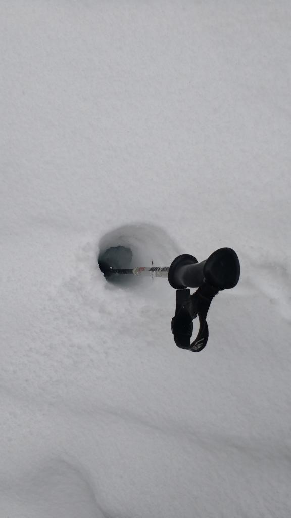  Ski pole <a href="/avalanche-terms/probe" title="A metal rod used to probe through avalanche debris for buried victims." class="lexicon-term">probe</a> through 4 inches of surface crust into deep, not refrozen wet snow. 