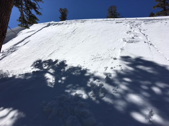  Small loose wet skier <a href="/avalanche-terms/trigger" title="A disturbance that initiates fracture within the weak layer causing an avalanche. In 90 percent of avalanche accidents, the victim or someone in the victims party triggers the avalanche." class="lexicon-term">triggered</a> at 7600&#039;, NE <a href="/avalanche-terms/aspect" title="The compass direction a slope faces (i.e. North, South, East, or West.)" class="lexicon-term">aspect</a>, on small test slope. 