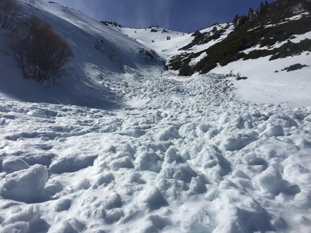  Looking up the <a href="/avalanche-terms/avalanche" title="A mass of snow sliding, tumbling, or flowing down an inclined surface." class="lexicon-term">slide</a> path 1500 vertical feet. 