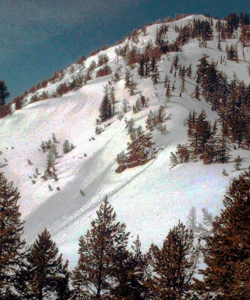  False color image of small loose wet point releases near rocks on a sun-exposed SE <a href="/avalanche-terms/aspect" title="The compass direction a slope faces (i.e. North, South, East, or West.)" class="lexicon-term">aspect</a> at 8400 ft. 