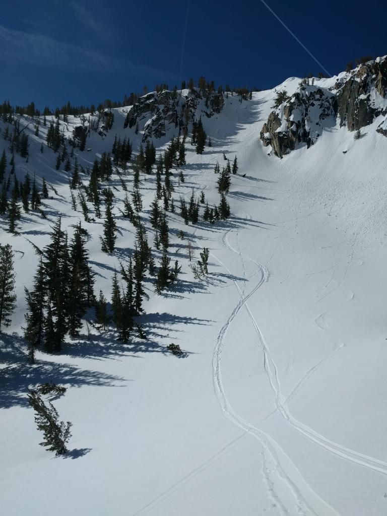  Loose wet point releases on the E <a href="/avalanche-terms/aspect" title="The compass direction a slope faces (i.e. North, South, East, or West.)" class="lexicon-term">aspects</a> in the sun and soft cold snow on the shaded areas that face north at 9:45 am 