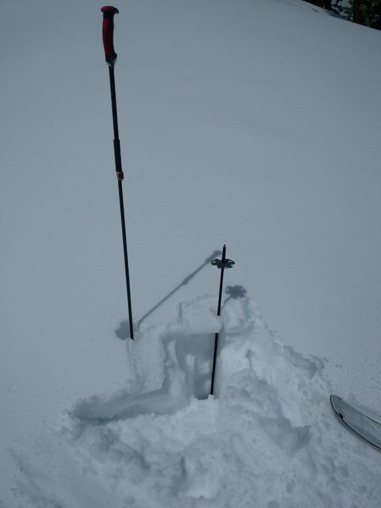  A dusting of new snow on top of a breakable crust with wet snow down to the handle of the inverted pole at 7800 ft. 
