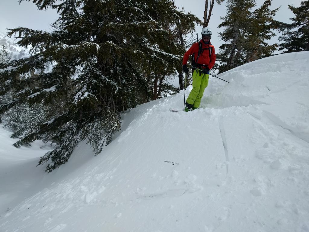  14 to 16 inch deep <a href="/avalanche-terms/wind-slab" title="A cohesive layer of snow formed when wind deposits snow onto leeward terrain. Wind slabs are often smooth and rounded and sometimes sound hollow." class="lexicon-term">wind slab</a> on a small SW facing <a href="/avalanche-terms/wind-loading" title="The added weight of wind drifted snow." class="lexicon-term">wind loaded</a> test slope in an open area near or below treeline. 
