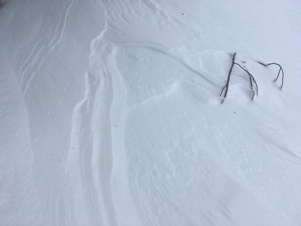  Around 7800 feet enough snow east winds were moving fresh snow. 