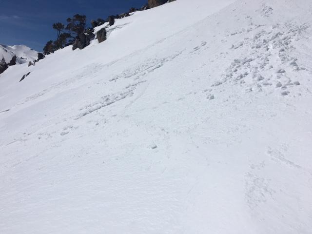  Minor roller ball activity where wind blown snow existed.  8600&#039;, SE <a href="/avalanche-terms/aspect" title="The compass direction a slope faces (i.e. North, South, East, or West.)" class="lexicon-term">aspect</a>. 