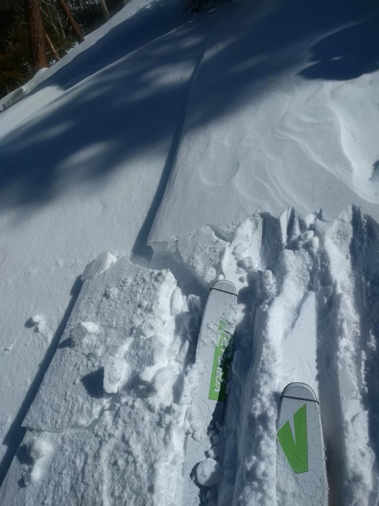  Very small <a href="/avalanche-terms/wind-slab" title="A cohesive layer of snow formed when wind deposits snow onto leeward terrain. Wind slabs are often smooth and rounded and sometimes sound hollow." class="lexicon-term">wind slab</a> bordering a wind-scoured icy <a href="/avalanche-terms/rain-crust" title="A clear layer of ice formed when rain falls on the snow surface then freezes." class="lexicon-term">rain crust</a> on a NE <a href="/avalanche-terms/aspect" title="The compass direction a slope faces (i.e. North, South, East, or West.)" class="lexicon-term">aspect</a> at 8200 ft. 