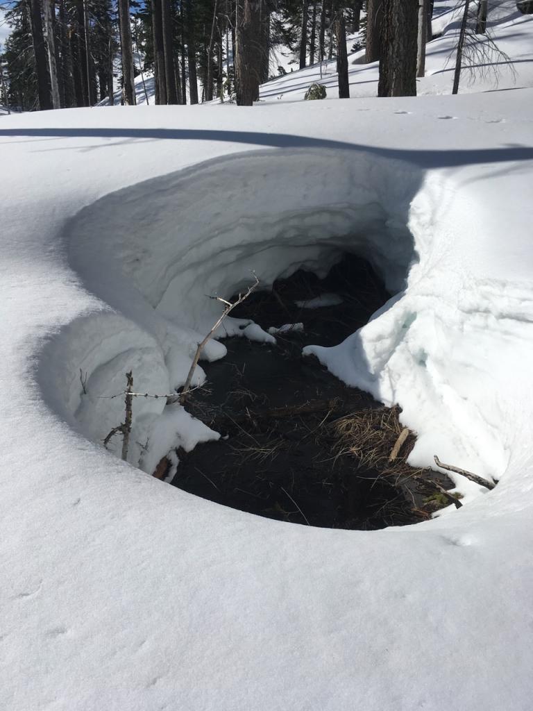  Huge holes around creeks in this area and crossing Angora Creek is getting more difficult. 