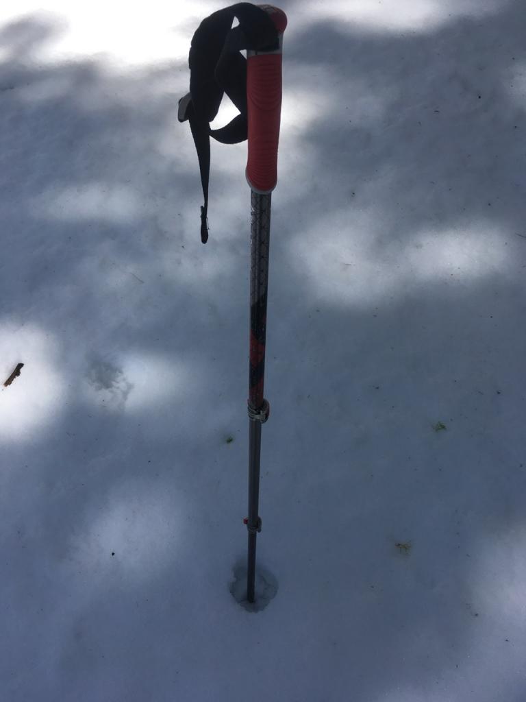  Under tree cover, the overnight freeze on south east facing slopes was minimal as off 8:30am. 