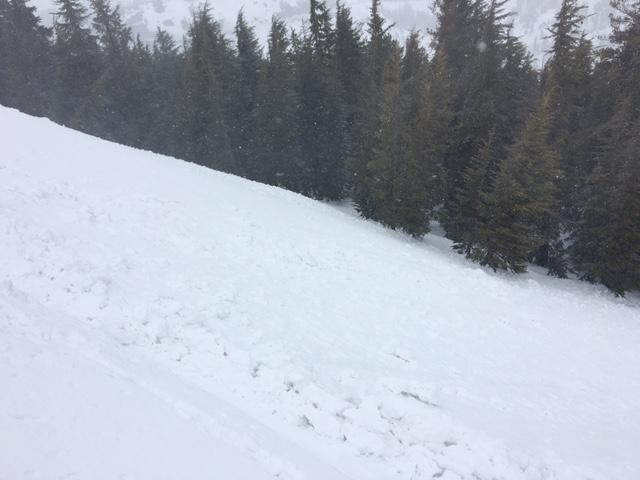  Roller balls from ski cuts on test slope. 