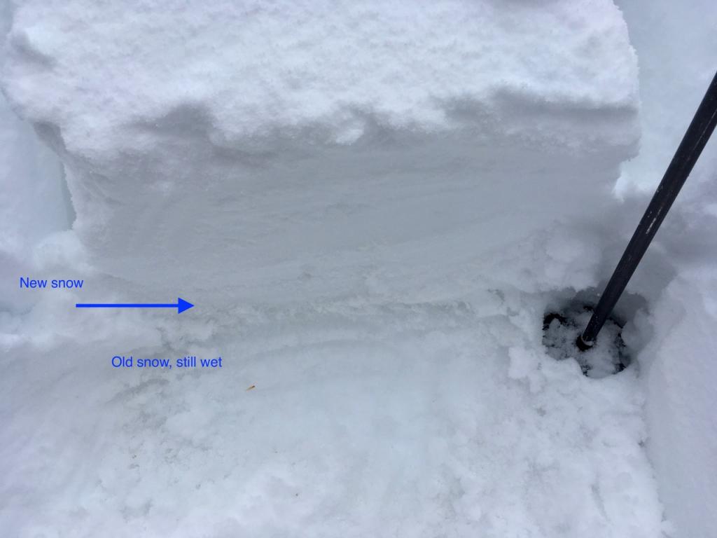  Snow levels increased substantially with elevation. This was from 8500 feet where about 10 inches of new snow was present on top of a still wet old snow interface. 