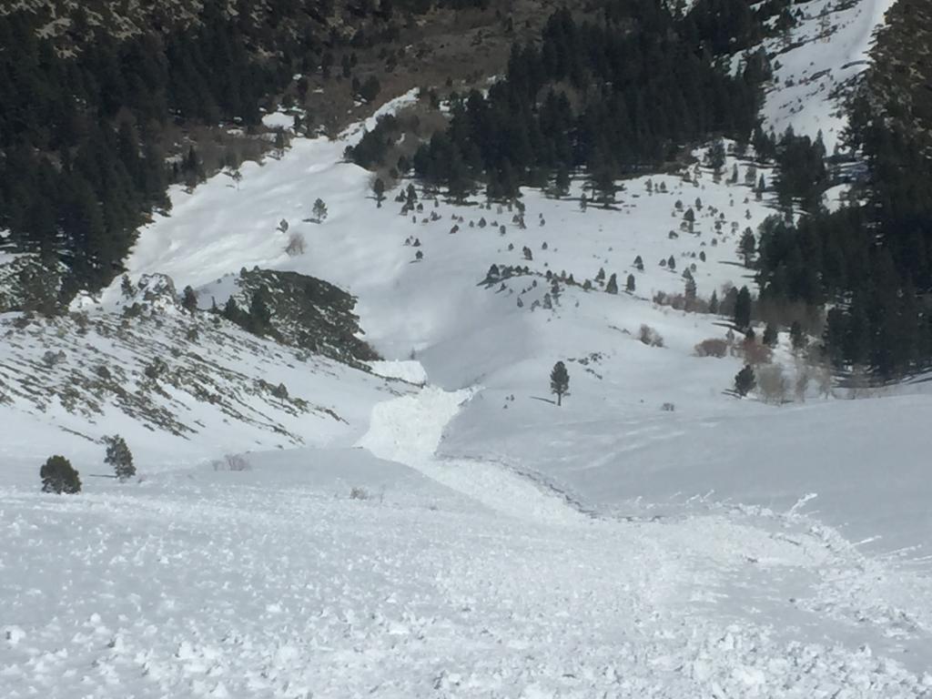  Large long running wet <a href="/avalanche-terms/avalanche" title="A mass of snow sliding, tumbling, or flowing down an inclined surface." class="lexicon-term">slide</a> in South Fork 