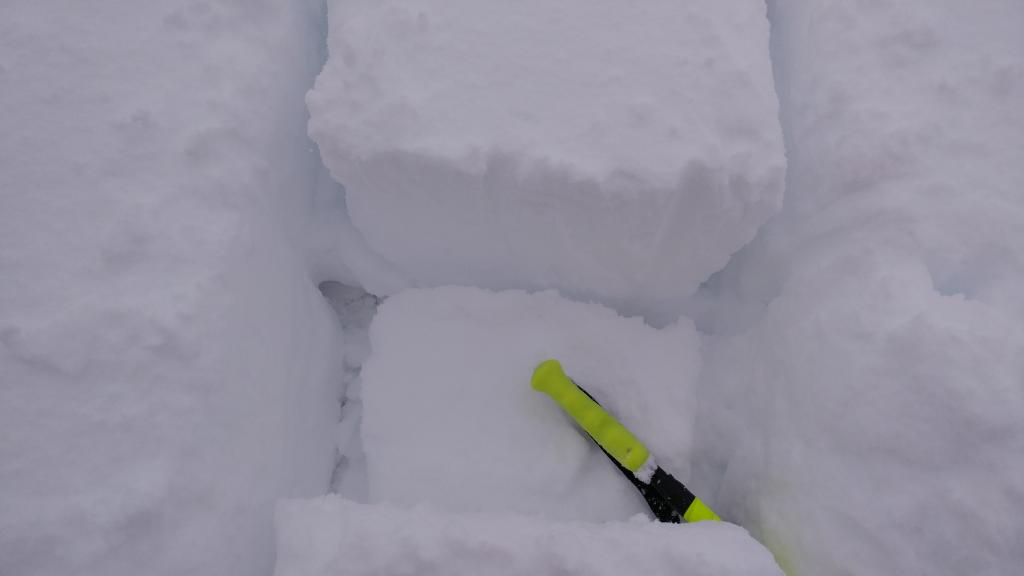  easy hand shear at 7600&#039; N <a href="/avalanche-terms/aspect" title="The compass direction a slope faces (i.e. North, South, East, or West.)" class="lexicon-term">aspect</a> 15cm down on 1F,F hardness difference. 