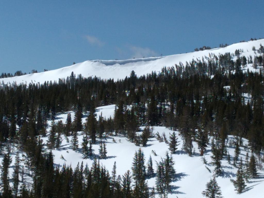  Another <a href="/avalanche-terms/wind-slab" title="A cohesive layer of snow formed when wind deposits snow onto leeward terrain. Wind slabs are often smooth and rounded and sometimes sound hollow." class="lexicon-term">wind slab</a> <a href="/avalanche-terms/avalanche" title="A mass of snow sliding, tumbling, or flowing down an inclined surface." class="lexicon-term">avalanche</a> below the <a href="/avalanche-terms/cornice" title="A mass of snow deposited by the wind, often overhanging, and usually near a sharp terrain break such as a ridge. Cornices can break off unexpectedly and should be approached with caution." class="lexicon-term">cornice</a> on the far east ridge of Tamarack Peak 