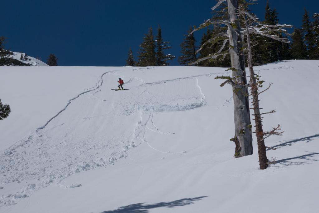  <a href="/avalanche-terms/ski-cut" title="A stability test where a skier, rider or snowmobiler rapidly crosses an avalanche starting zone to see if an avalanche initiates. Slope cuts can be dangerous and should only be performed by experienced people on small avalanche paths or test slopes." class="lexicon-term">ski cut</a> wet loose 