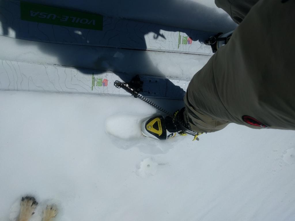  Wet snow depth at 11:30 am on a S-SE <a href="/avalanche-terms/aspect" title="The compass direction a slope faces (i.e. North, South, East, or West.)" class="lexicon-term">aspect</a> at 9000 ft. 
