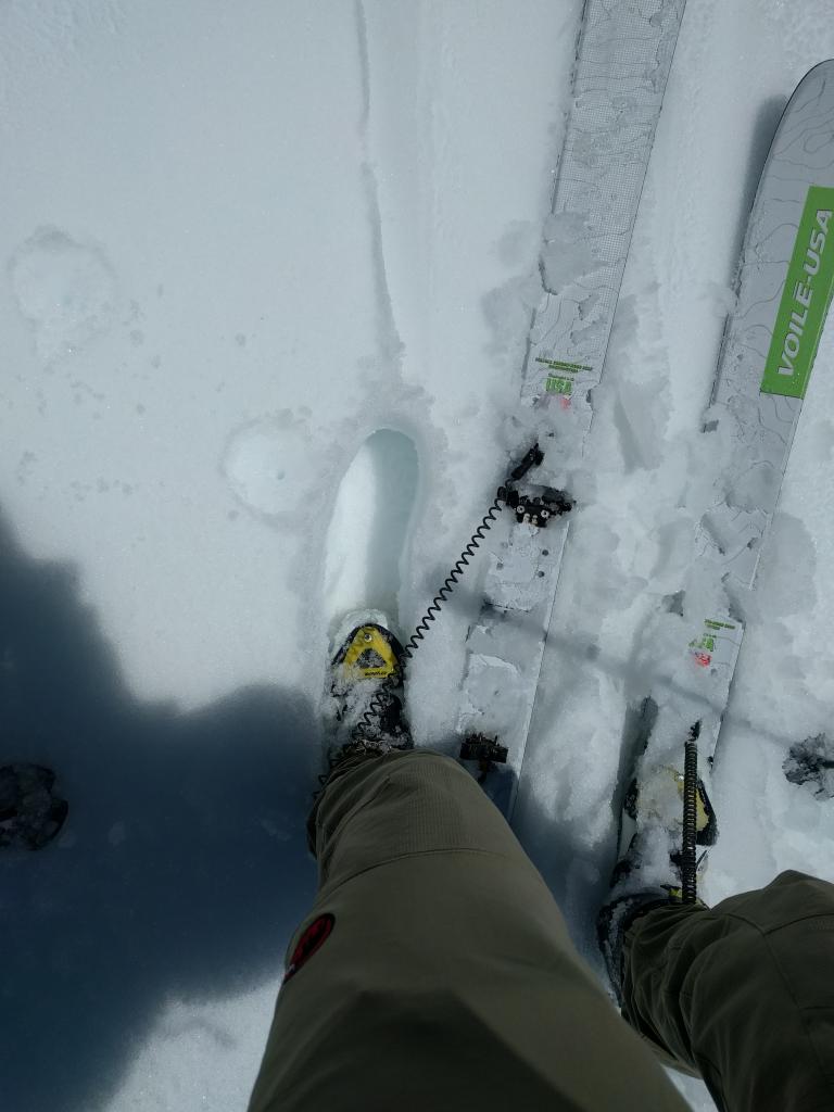  Wet snow depth at 12:00 on a S-SW <a href="/avalanche-terms/aspect" title="The compass direction a slope faces (i.e. North, South, East, or West.)" class="lexicon-term">aspect</a> at 8400 ft. 