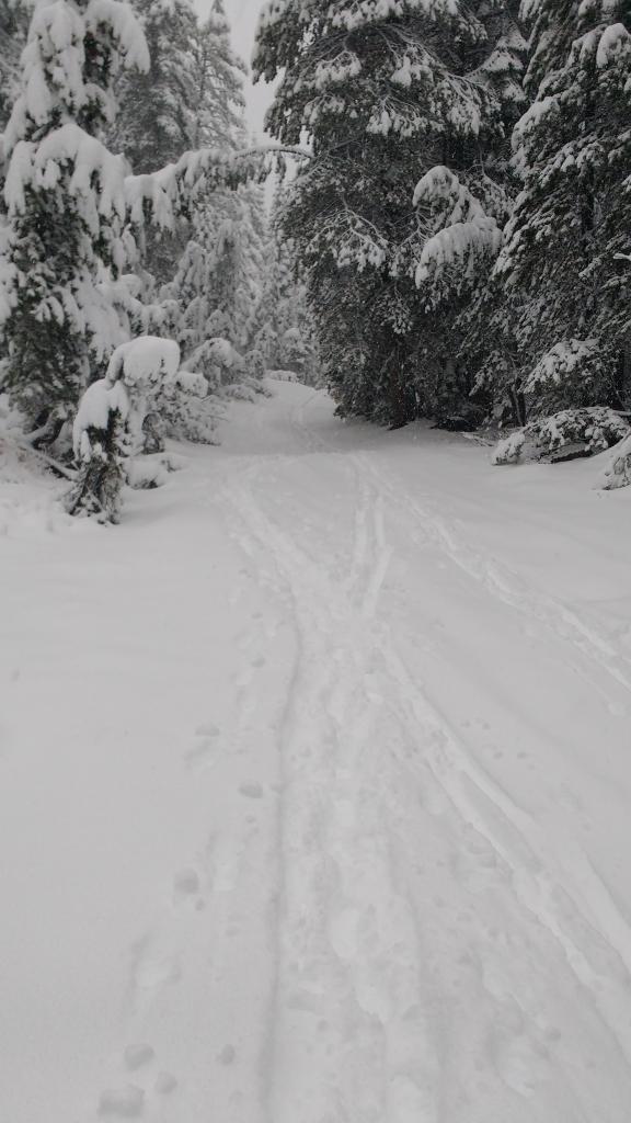  10 to 12 in of new snow on the Castle Rd at 7,400&#039;. 