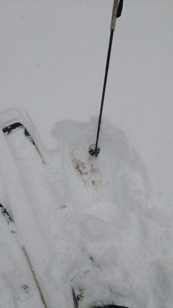  Base of Casltle Pass, 12 in of new snow on bare ground. New snow right side up. 