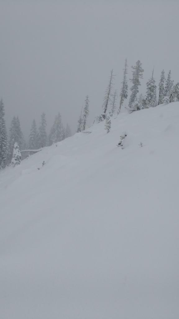  Andesite Ridge ~8,000&#039;, 14 inches of new snow. 