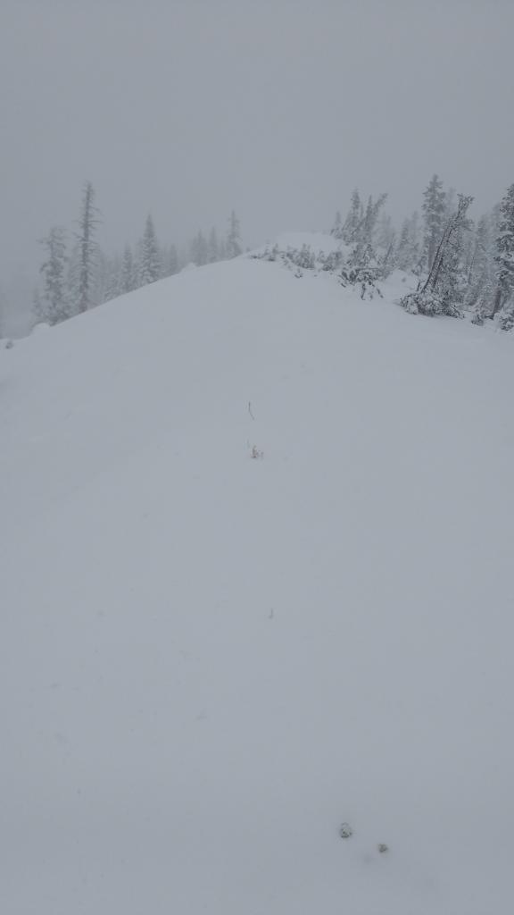  Andesite Ridge ~8,000&#039;, minimal wind transport. 