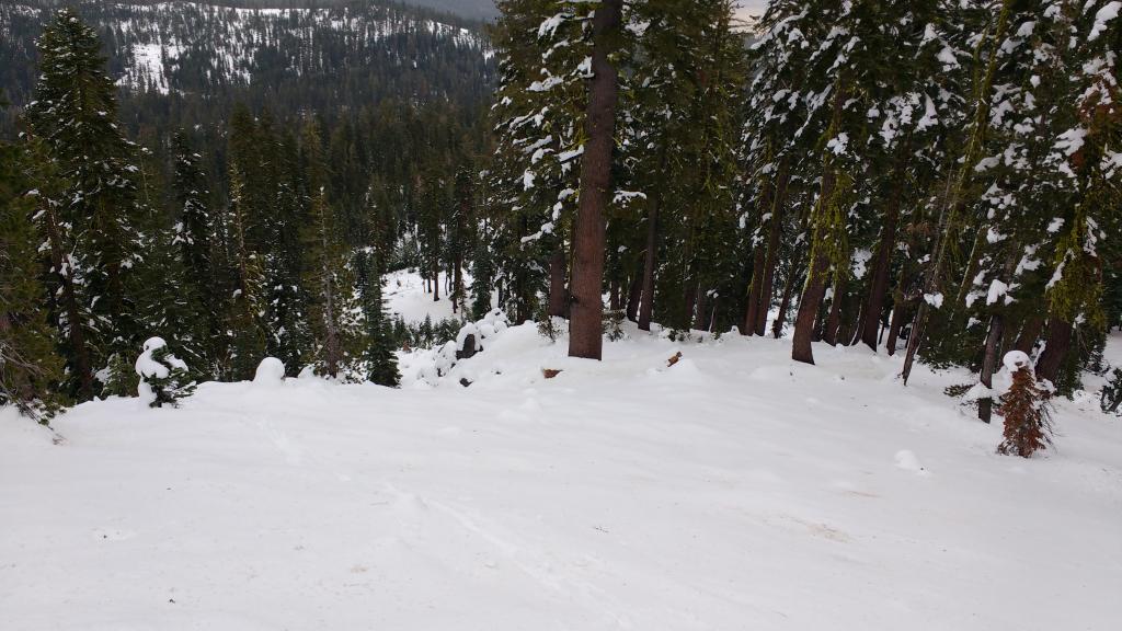  Snowcover of about 14 inches at about 7,350&#039; 