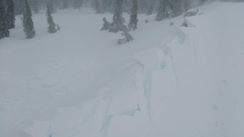  <a href="/avalanche-terms/cornice" title="A mass of snow deposited by the wind, often overhanging, and usually near a sharp terrain break such as a ridge. Cornices can break off unexpectedly and should be approached with caution." class="lexicon-term">Cornice</a> sections above test slopes easily <a href="/avalanche-terms/collapse" title="When the fracture of a lower snow layer causes an upper layer to fall. Also called a whumpf, this is an obvious sign of instability." class="lexicon-term">collapsed</a> with intentional efforts. No signs of <a href="/avalanche-terms/wind-slab" title="A cohesive layer of snow formed when wind deposits snow onto leeward terrain. Wind slabs are often smooth and rounded and sometimes sound hollow." class="lexicon-term">wind slab</a> instability revealed on the test slope below. 