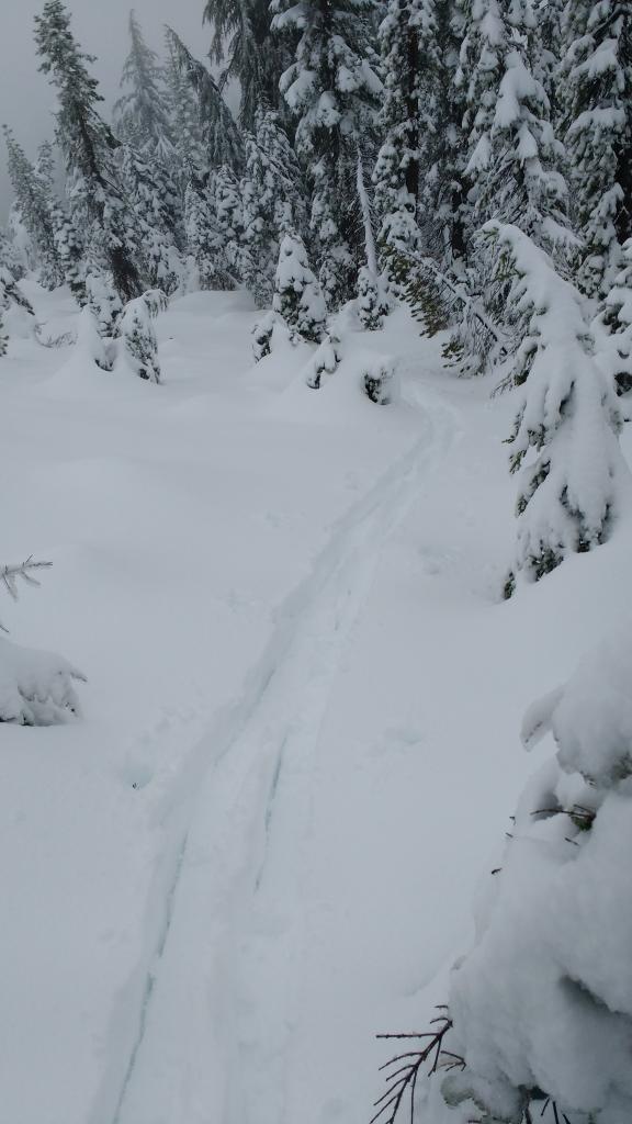  Supportable snow cover at ~7,900&#039; between the Grub Hut and Castle Pass. 