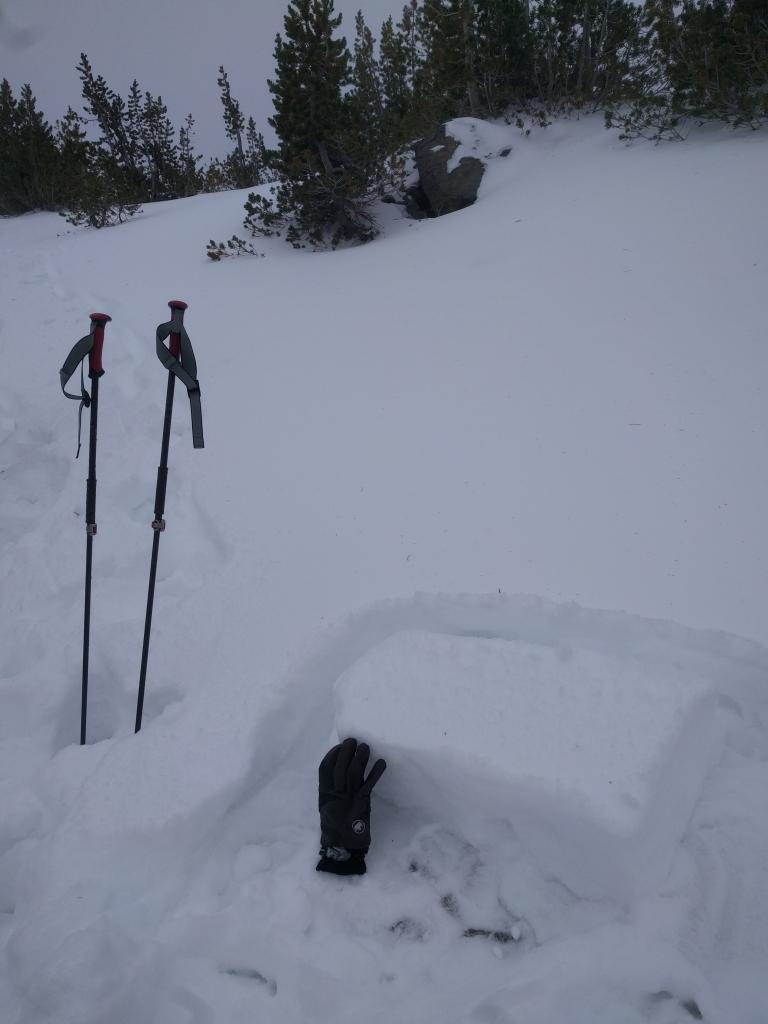  20 to 3 cm of snow on a N <a href="/avalanche-terms/aspect" title="The compass direction a slope faces (i.e. North, South, East, or West.)" class="lexicon-term">aspect</a> at 9700 ft. Some <a href="/avalanche-terms/faceted-snow" title="Angular snow with poor bonding created from large temperature gradients within the snowpack." class="lexicon-term">facets</a> existed at the bottom. 