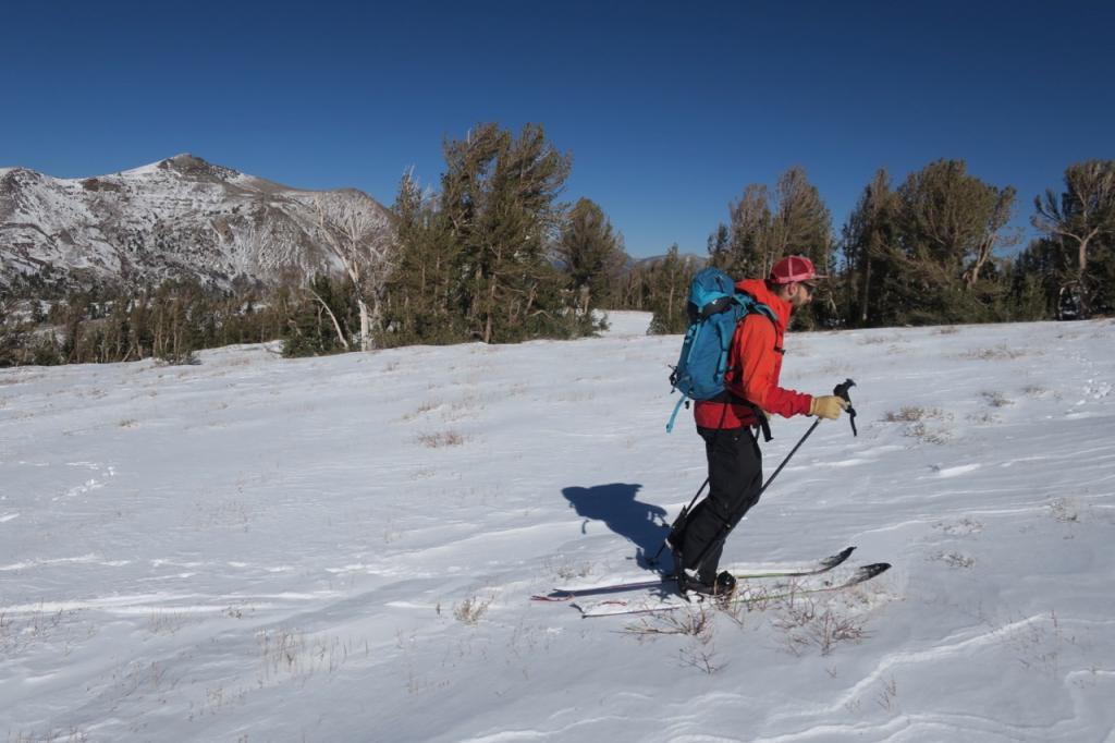  Barely adequate <a href="/avalanche-terms/skin-track" title="Backcountry skiers and some snowboarders ascend slopes using climbing skins attached to the bottom of their skis." class="lexicon-term">skinning</a> coverage. 