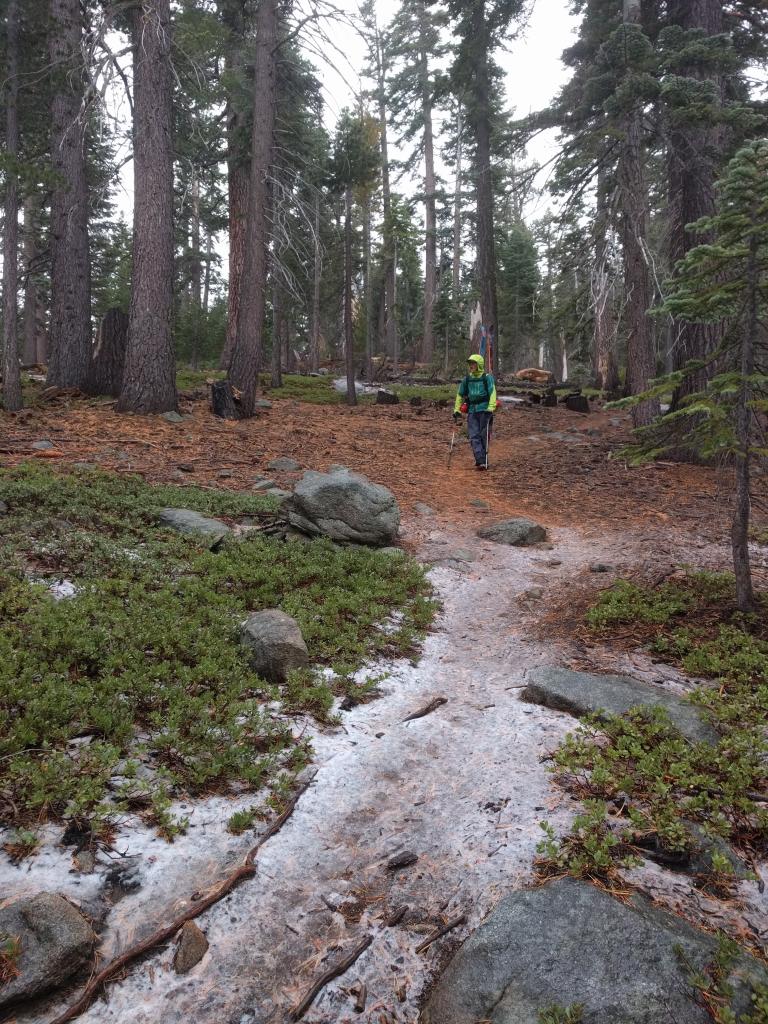  Snow coverage at 7200 ft. 