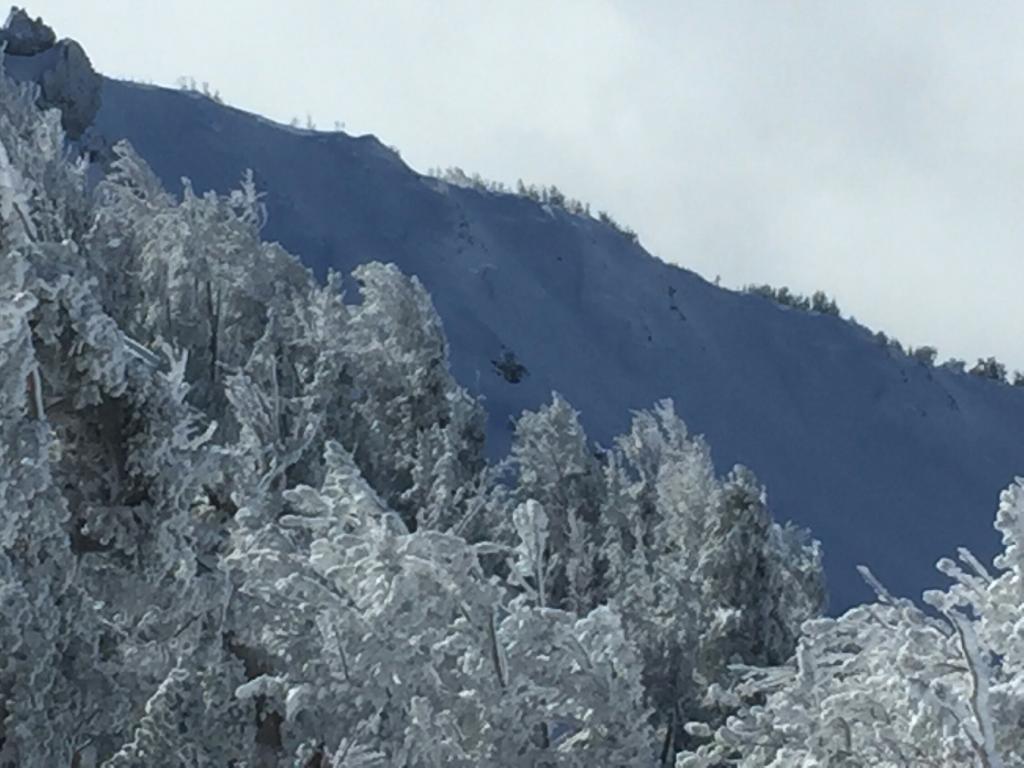  A close look at the photo taken on Nov 17 shows several crowns partially covered in storm snow. 