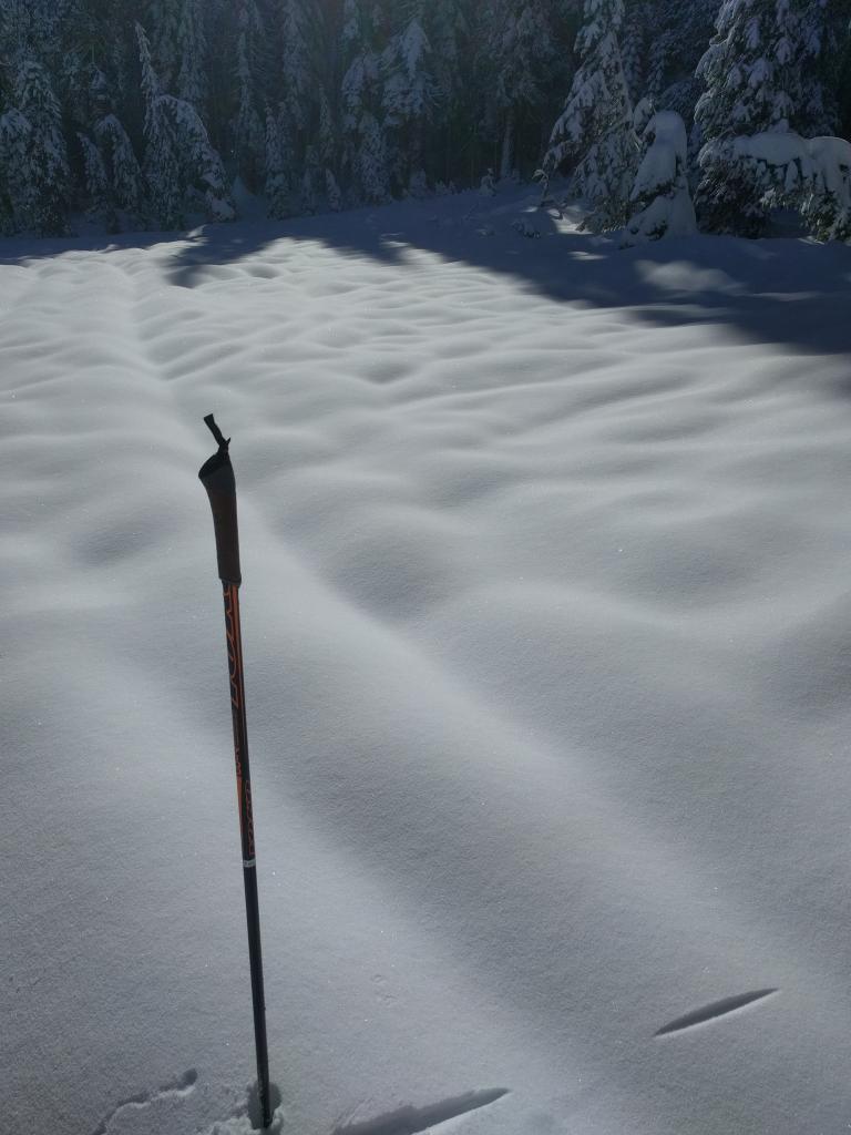  Rain runnels on the snow surface despite 3 to 5 inches of new snow after it stopped raining. 