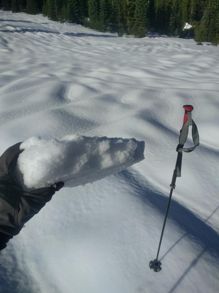  Breakable <a href="/avalanche-terms/rain-crust" title="A clear layer of ice formed when rain falls on the snow surface then freezes." class="lexicon-term">rain crust</a> and rain runnels in a meadow at 7800 ft. 