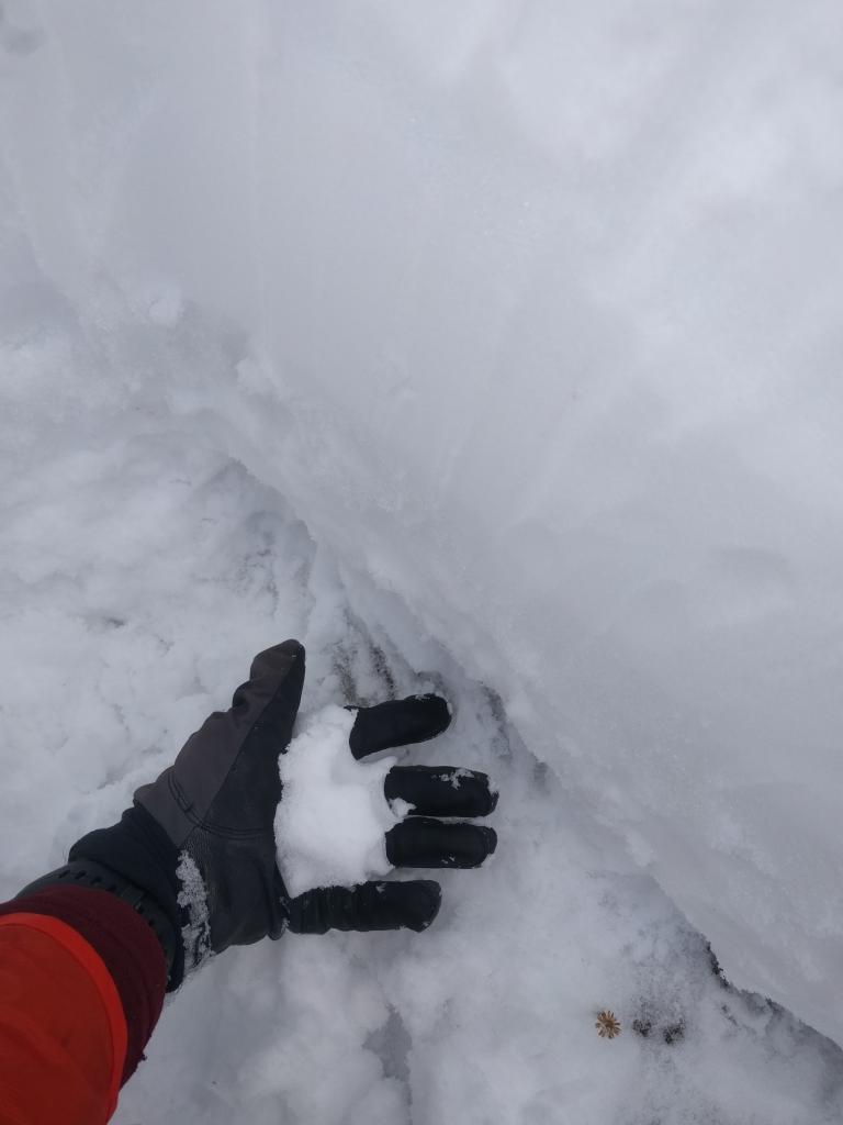  Moist snow near the bottom of the snowpack on a north <a href="/avalanche-terms/aspect" title="The compass direction a slope faces (i.e. North, South, East, or West.)" class="lexicon-term">aspect</a> at 9500&#039;. 