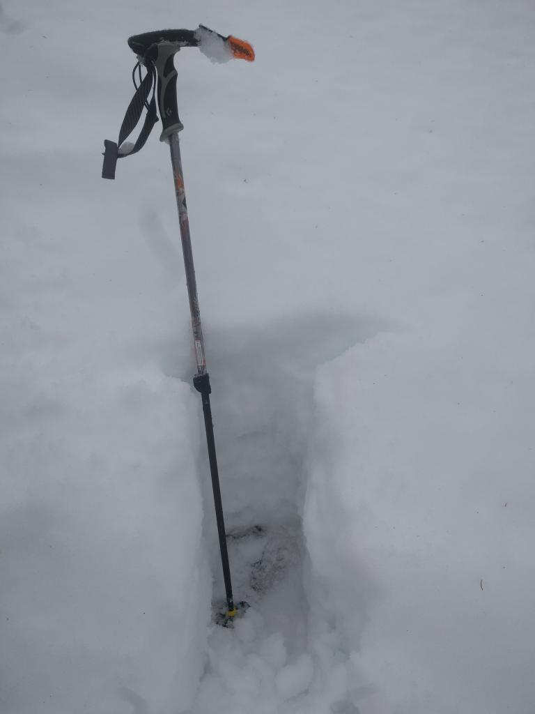  2&#039; of snow at 8020&#039;, NE <a href="/avalanche-terms/aspect" title="The compass direction a slope faces (i.e. North, South, East, or West.)" class="lexicon-term">aspect</a> on Barker Peak 