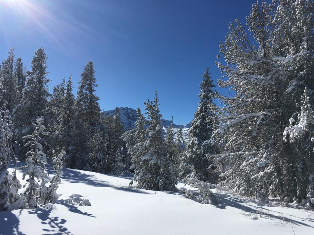  By 11am, sun exposed snow was melting. 