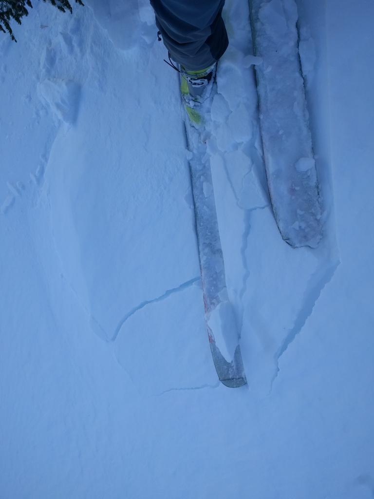 Small <a href="/avalanche-terms/wind-slab" title="A cohesive layer of snow formed when wind deposits snow onto leeward terrain. Wind slabs are often smooth and rounded and sometimes sound hollow." class="lexicon-term">wind slab</a> on a <a href="/avalanche-terms/wind-loading" title="The added weight of wind drifted snow." class="lexicon-term">wind loaded</a> test slope. The <a href="/avalanche-terms/slab" title="A relatively cohesive snowpack layer." class="lexicon-term">slab</a> only measured about 5-10 cm (2-4 in) thick and did not extend downslope very far. 