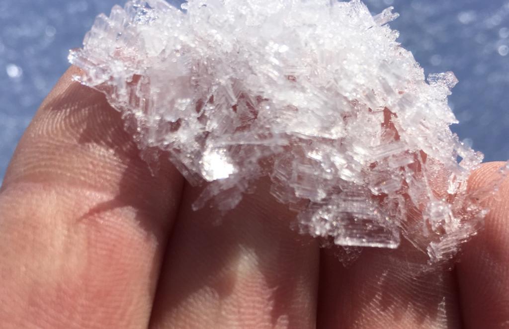  Large <a href="/avalanche-terms/surface-hoar" title="Featherly crystals that form on the snow surface during clear and calm conditions - essentially frozen dew. Forms a persistent weak layer once buried." class="lexicon-term">Surface Hoar</a> crystals 