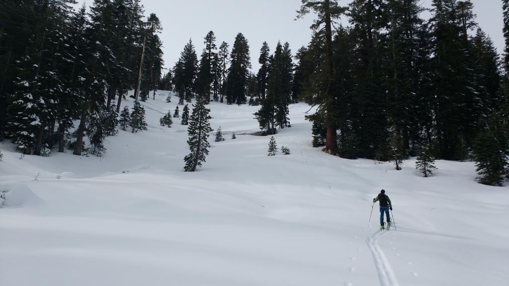  Large SH existed in lower meadow but not on open slope above.  8000&#039;, NE-E <a href="/avalanche-terms/aspect" title="The compass direction a slope faces (i.e. North, South, East, or West.)" class="lexicon-term">aspects</a>. 