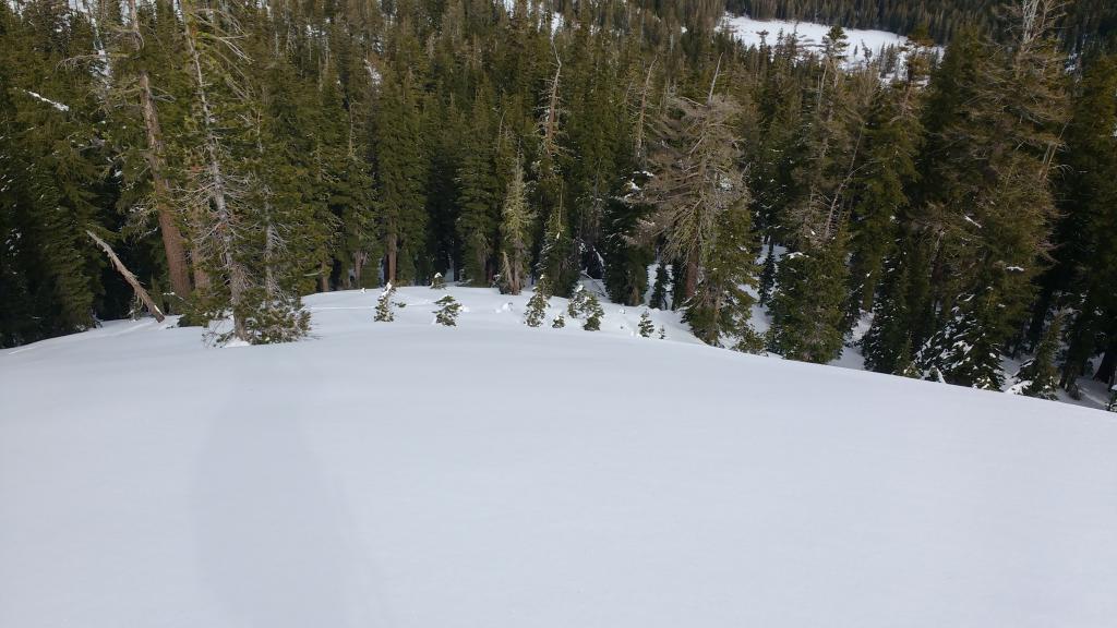  Evidence of wind destroyed SH on this open slope.  8200&#039;, N <a href="/avalanche-terms/aspect" title="The compass direction a slope faces (i.e. North, South, East, or West.)" class="lexicon-term">aspect</a>. 