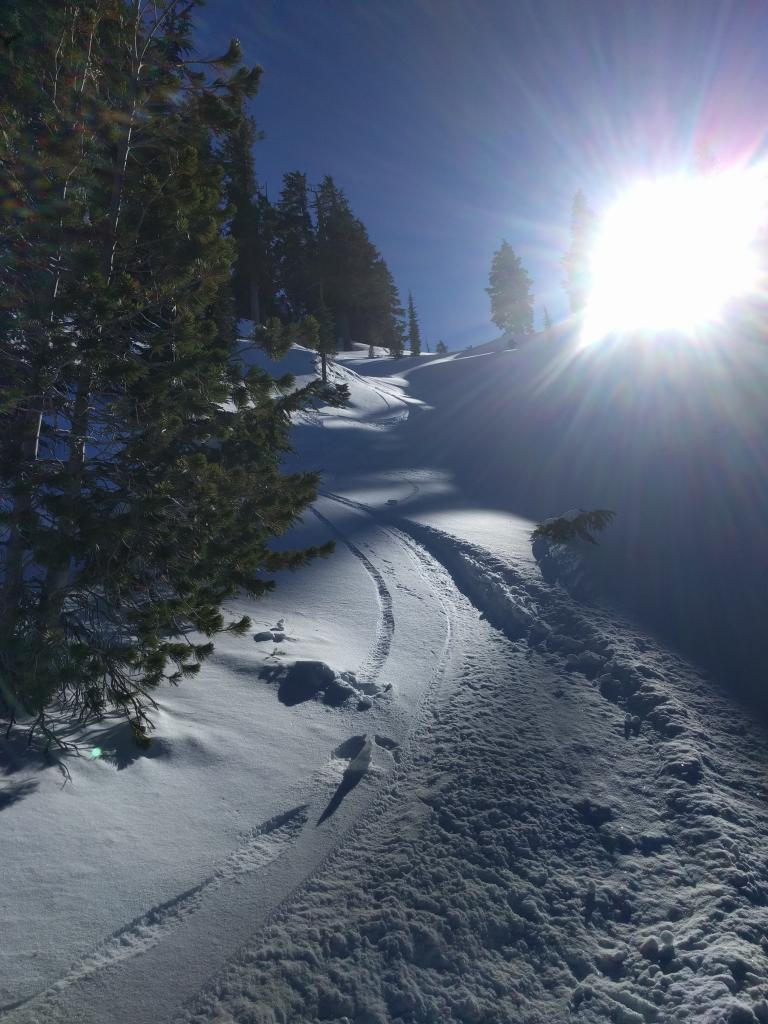  Softer unconsolidated snow on a below treeline N <a href="/avalanche-terms/aspect" title="The compass direction a slope faces (i.e. North, South, East, or West.)" class="lexicon-term">aspect</a> sheltered from the NE winds @ 8200 ft. above Devils Oven Lake. 