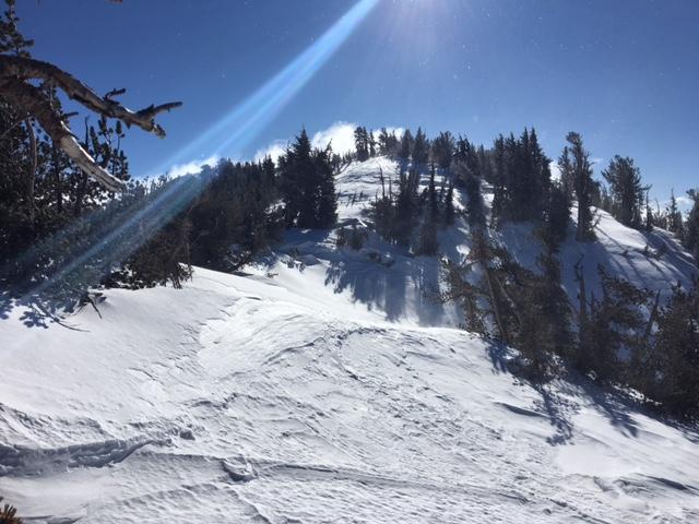  Strong to Gale force NE winds moving minimal amounts of snow to S side of ridgeline. 